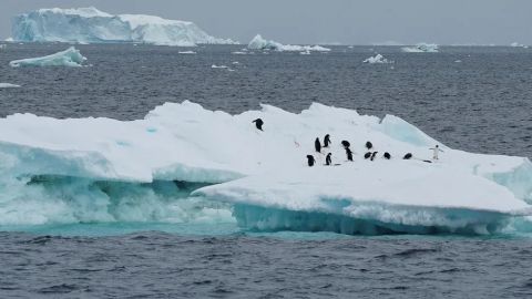 Hielo en la Antártida registra mínimo histórico por tercer año consecutivo