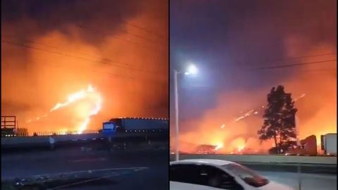 Incendios forestales consumen más de 600 hectáreas en Veracruz