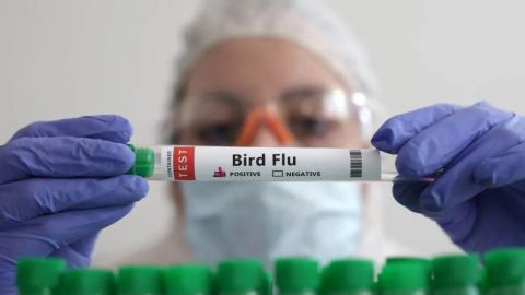 Detectan primer caso humano de gripe aviar en EU