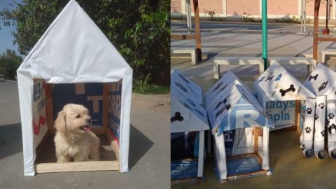 Ciudadanos construyen casas para perros y gatos con propaganda política