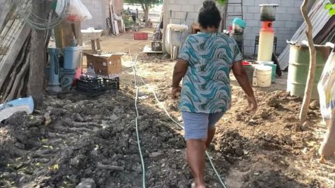 Cae red de personas que simulaba recaudar fondos para afectados en Brasil