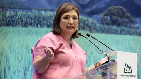 INE ordena a Xóchitl Gálvez abstenerse de llamar 'narcopartido' a Morena