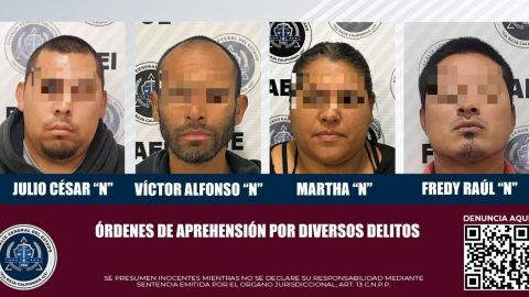 Aprehenden a cuatro por diversos delitos, entre ellos una mujer