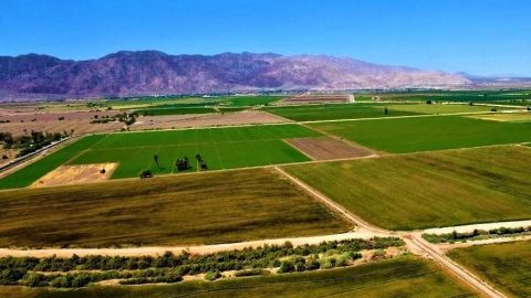 Trabajador agrícola no murió en horario laboral: Secretaría de Trabajo