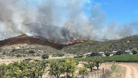 Rescatan a personas atrapadas en incendio forestal en el Valle de Guadalupe
