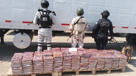 Aseguran 455 kilogramos de Cocaína en Tijuana