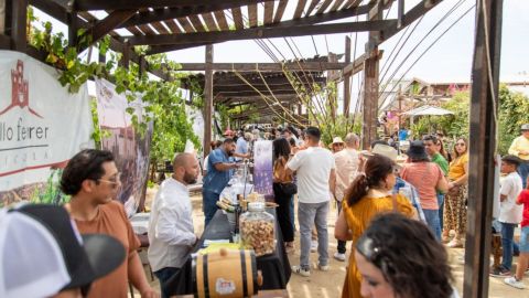 'Valle Art Walk' celebrará el arte, la enología y gastronomía en el Valle