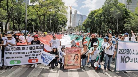 Movimiento antirreforma pone lupa a 43 senadores