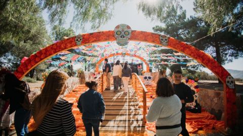 Invitan a disfrutar del XXIV Festival del Día de Muertos en Tecate Pueblo Mágico