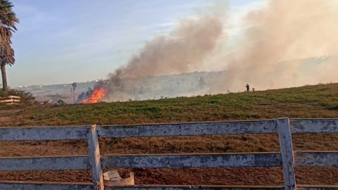 Elementos de Bomberos atendieron 90 incidentes por vientos Santa Ana