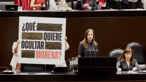 Cámara de Diputados inicia discusión para extinguir siete organismos autónomos