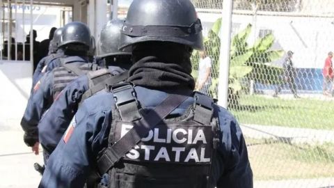 Más de 500 homicidios en tres meses en Sinaloa