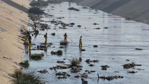 COSTASALVAJE lidera la limpieza de 2 kilómetros de basura