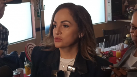 Retiro de 'Minions' se debe analizar y estudiar: Gina Arana