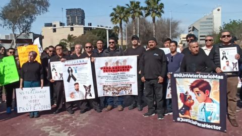 Médicos Veterinarios alzan la voz contra la violencia y el acoso