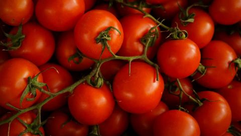 EU impondrá aranceles del 20.91% a la mayoría de tomates mexicanos