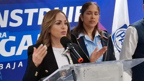 Regina Gina Arana propone construcción de un puente vehicular hacia la garita