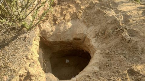 Inhabilitan toma clandestina en Tijuana