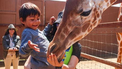 PaiPai activa programa de turismo social: Edgar Pérez Ortiz