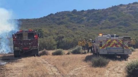 Continúan los incendios forestales en Tecate