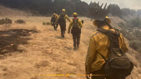 Incendio forestal en Tecate avanza con 10 mil hectáreas afectadas