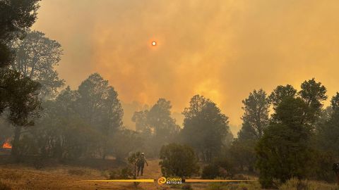Incendio forestal en Tecate alcanza 65% de control