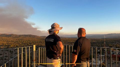 Controlan 90% del incendio forestal 'Guadalajara 2' en Tecate