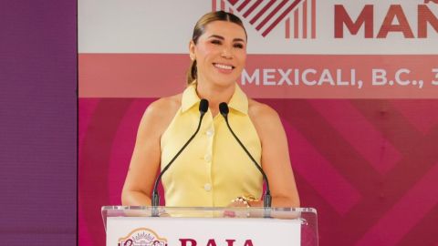 En lo que va de 2025, se registran 16 feminicidios en Baja California