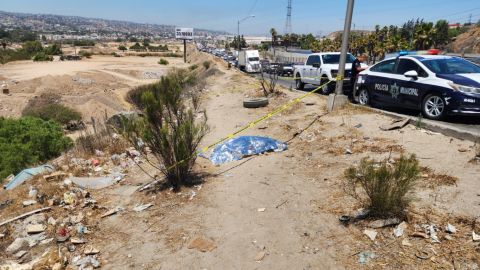 Detienen a hombre en Tijuana por presunto maltrato y muerte de un perro