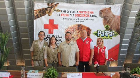 Nace el movimiento Red Viva con alianza entre PAI PAI y Cruz Roja