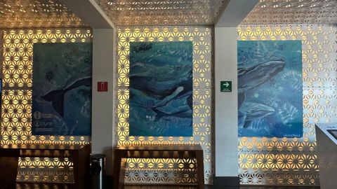 COSTASALVAJE presenta mural de la ballena gris en Newcity Plaza