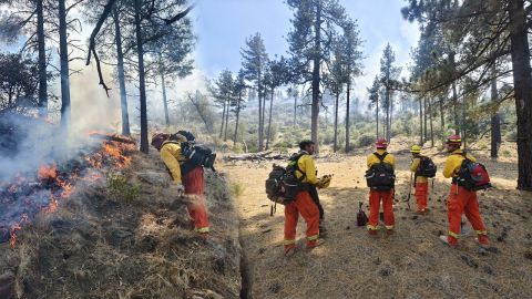Combaten 4 frentes de incendio en Parque Nacional Sierra de San Pedro Mártir