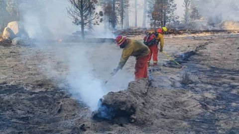 Avanza combate al incendio en San Pedro Mártir; cuatro ramas siguen activas