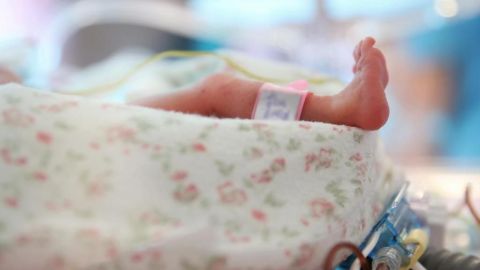 Nacen menos mexicanos: 2024 registra la mayor caída de nacimientos en 4 años