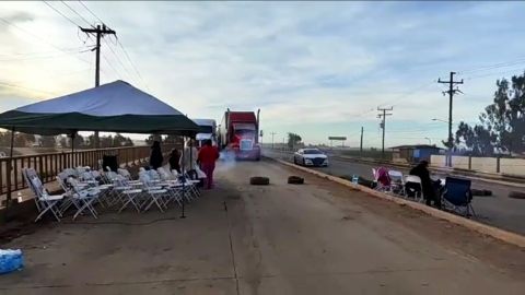 Cosechas en riesgo: Walberto Solorio Meza