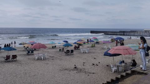 Alertan por alta contaminación fecal en playas de Tijuana