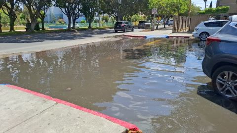 Fuga de aguas negras provoca encharcamientos y malos olores en Tijuana
