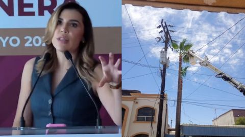 Apagón en 'mañanera' fue por la caída de una rama sobre cables de alta tensión