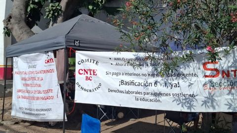 Maestros de la CNTE anuncian marcha en la Zona Río este jueves