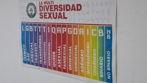 Desde la infancia, la diversidad sexual es una realidad natural asegura experto