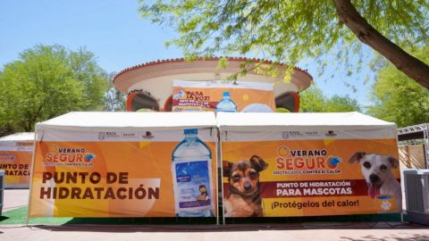 Instalarán punto de hidratación en Tijuana, podría ser en la Zona Norte