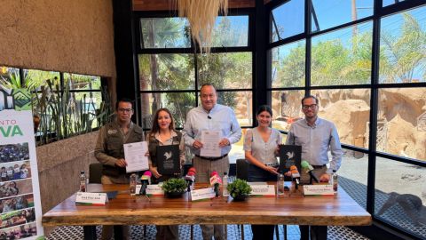 PaiPai y Derechos Humanos impulsan alianza por la inclusión y el medio ambiente