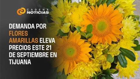 Algunos vendedores en Tijuana elevan precios del girasol este 21 de septiembre